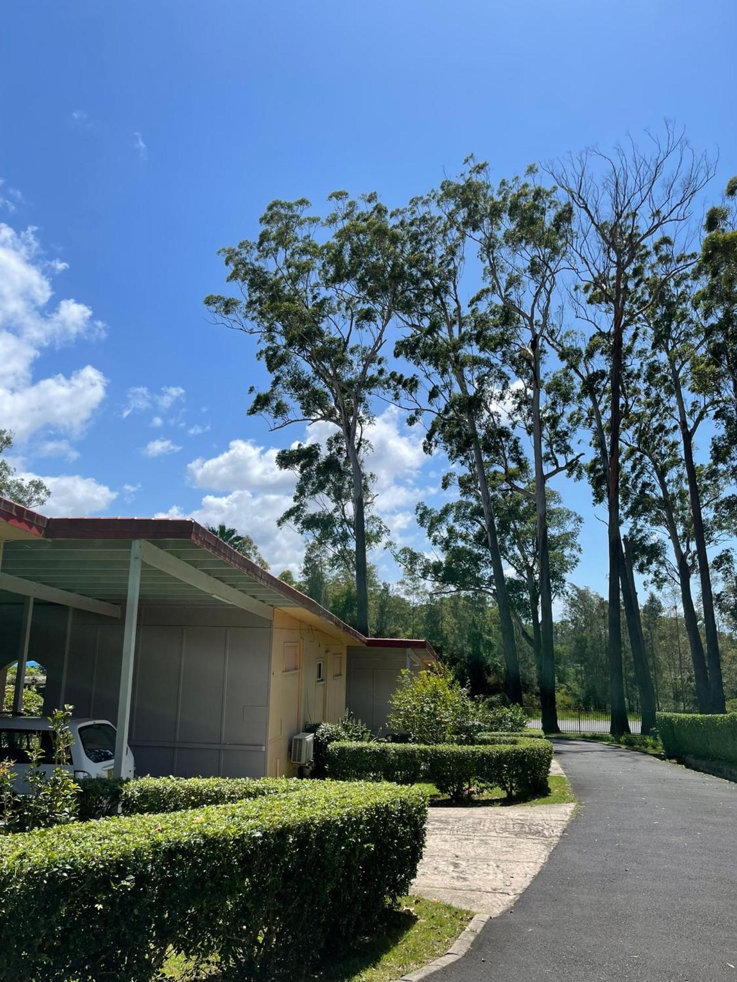 Major Innes Motel Port Macquarie Zewnętrze zdjęcie